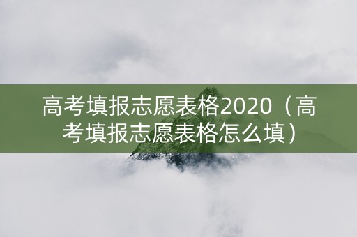 高考填报志愿表格2020（高考填报志愿表格怎么填）