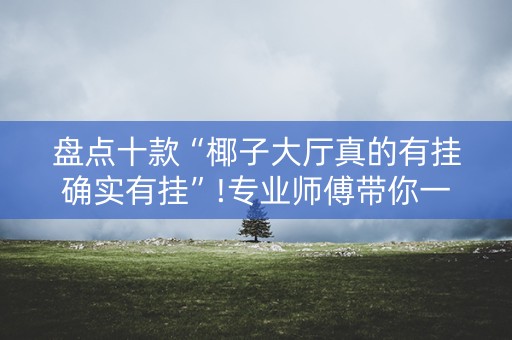盘点十款“椰子大厅真的有挂确实有挂”!专业师傅带你一起了解（详细教程）-抖音