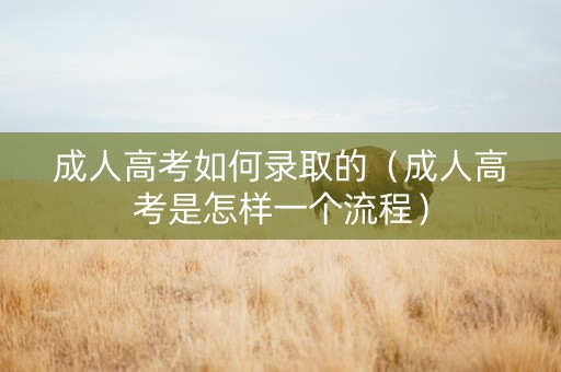 成人高考如何录取的（成人高考是怎样一个流程）