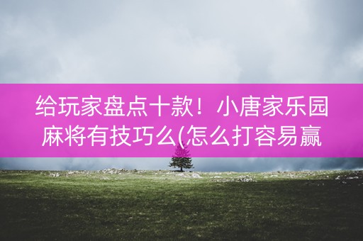 给玩家盘点十款！小唐家乐园麻将有技巧么(怎么打容易赢)
