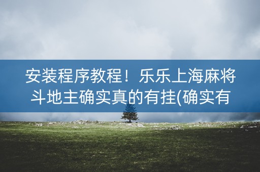 安装程序教程！乐乐上海麻将斗地主确实真的有挂(确实有挂吗)