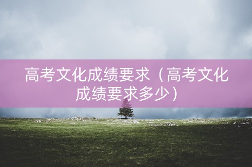 高考文化成绩要求（高考文化成绩要求多少）