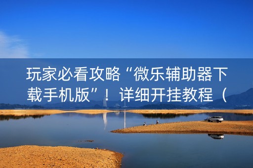 玩家必看攻略“微乐辅助器下载手机版”！详细开挂教程（确实真的有挂)-抖音