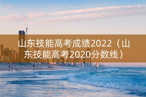 山东技能高考成绩2022（山东技能高考2020分数线）