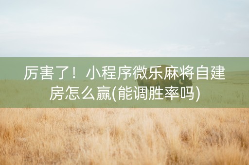 厉害了！小程序微乐麻将自建房怎么赢(能调胜率吗)