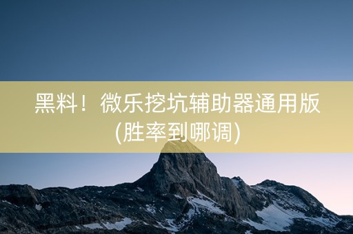 黑料！微乐挖坑辅助器通用版(胜率到哪调)