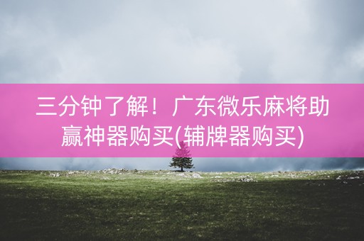 三分钟了解！广东微乐麻将助赢神器购买(辅牌器购买)