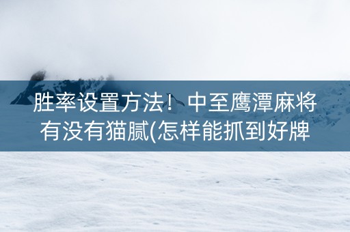胜率设置方法！中至鹰潭麻将有没有猫腻(怎样能抓到好牌)