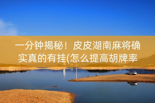 一分钟揭秘！皮皮湖南麻将确实真的有挂(怎么提高胡牌率)