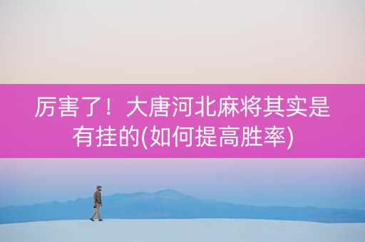 厉害了！大唐河北麻将其实是有挂的(如何提高胜率)