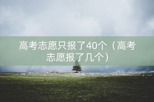 高考志愿只报了40个（高考志愿报了几个）