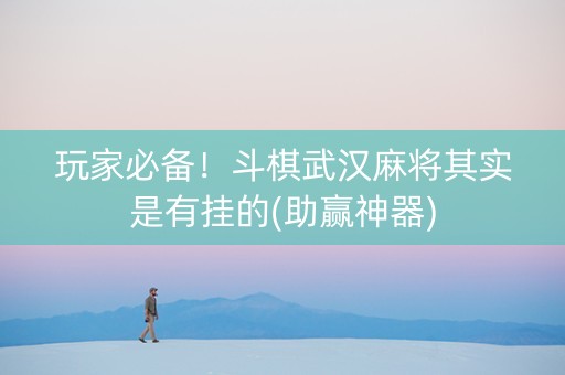 玩家必备！斗棋武汉麻将其实是有挂的(助赢神器)