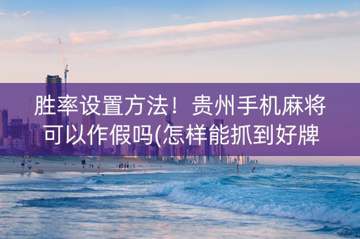 胜率设置方法！贵州手机麻将可以作假吗(怎样能抓到好牌)