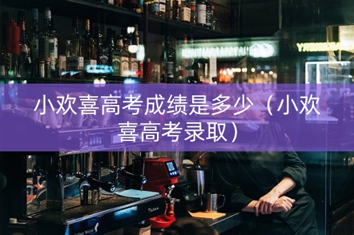 小欢喜高考成绩是多少（小欢喜高考录取）
