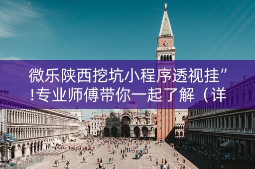 微乐陕西挖坑小程序透视挂”!专业师傅带你一起了解（详细教程）-抖音