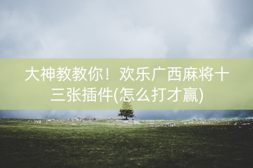 大神教教你！欢乐广西麻将十三张插件(怎么打才赢)