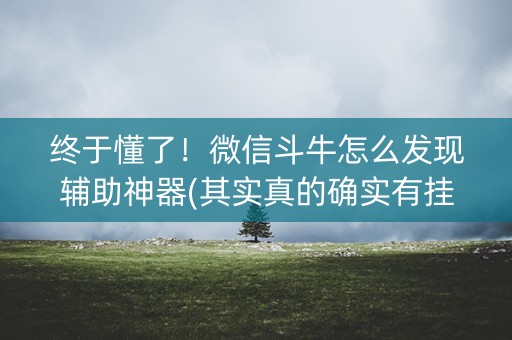 终于懂了！微信斗牛怎么发现辅助神器(其实真的确实有挂)