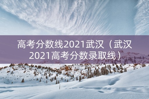 高考分数线2021武汉（武汉2021高考分数录取线）