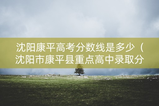 沈阳康平高考分数线是多少（沈阳市康平县重点高中录取分数线）
