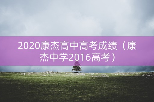 2020康杰高中高考成绩（康杰中学2016高考）