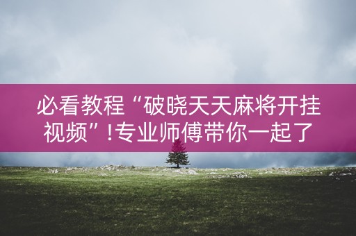 必看教程“破晓天天麻将开挂视频”!专业师傅带你一起了解（详细教程）-抖音