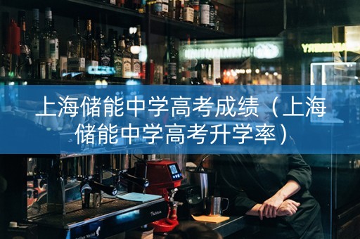 上海储能中学高考成绩（上海储能中学高考升学率）