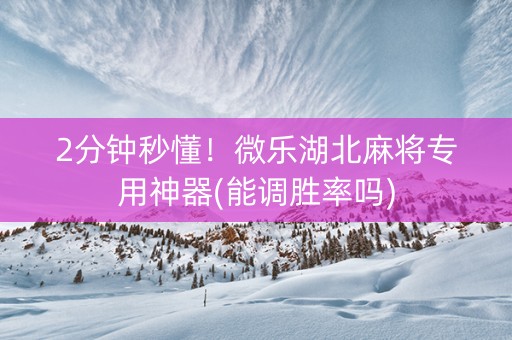 2分钟秒懂！微乐湖北麻将专用神器(能调胜率吗)