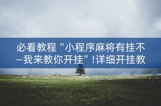 必看教程“小程序麻将有挂不—我来教你开挂”!详细开挂教程-抖音