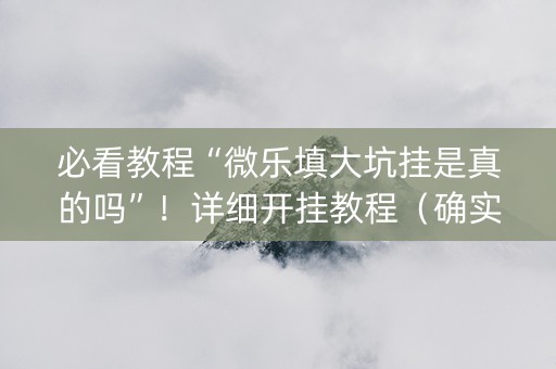 必看教程“微乐填大坑挂是真的吗”！详细开挂教程（确实真的有挂)-抖音