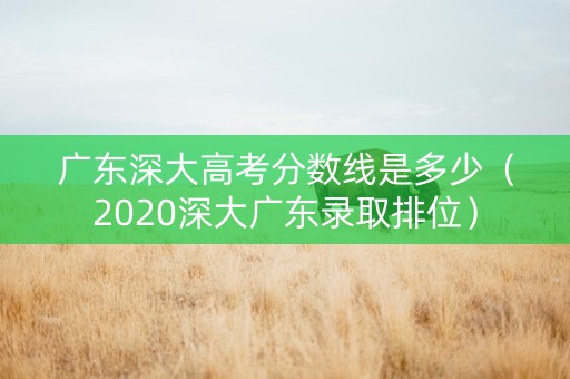 广东深大高考分数线是多少（2020深大广东录取排位）