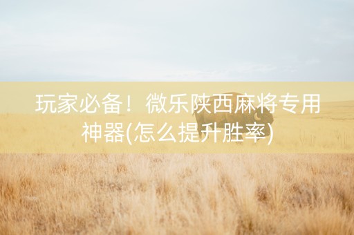 玩家必备！微乐陕西麻将专用神器(怎么提升胜率)