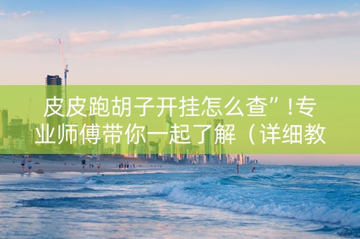 皮皮跑胡子开挂怎么查”!专业师傅带你一起了解（详细教程）-抖音
