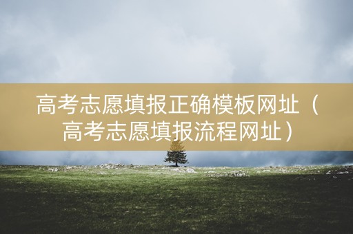 高考志愿填报正确模板网址（高考志愿填报流程网址）
