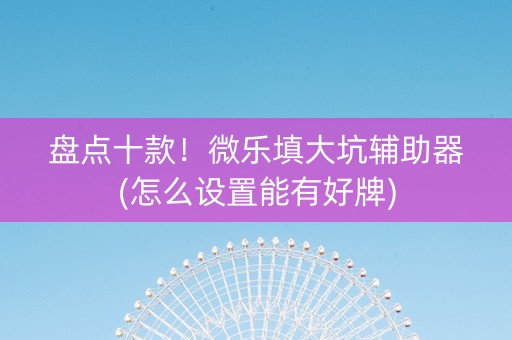 盘点十款！微乐填大坑辅助器(怎么设置能有好牌)