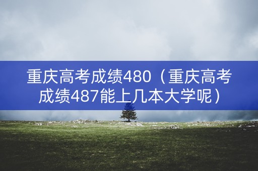 重庆高考成绩480（重庆高考成绩487能上几本大学呢）