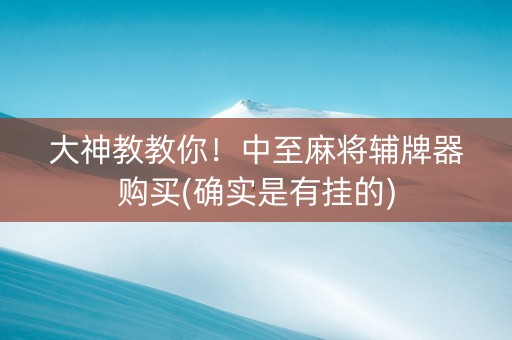 大神教教你！中至麻将辅牌器购买(确实是有挂的)