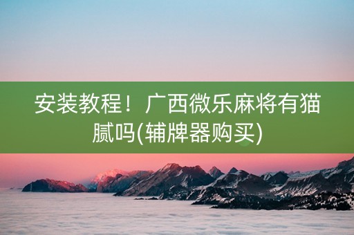 安装教程！广西微乐麻将有猫腻吗(辅牌器购买)