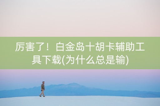 厉害了！白金岛十胡卡辅助工具下载(为什么总是输)