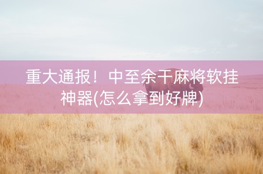 重大通报！中至余干麻将软挂神器(怎么拿到好牌)