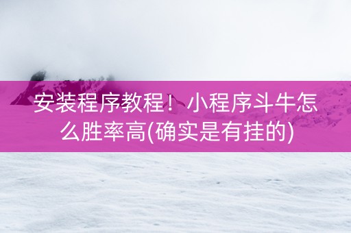 安装程序教程！小程序斗牛怎么胜率高(确实是有挂的)