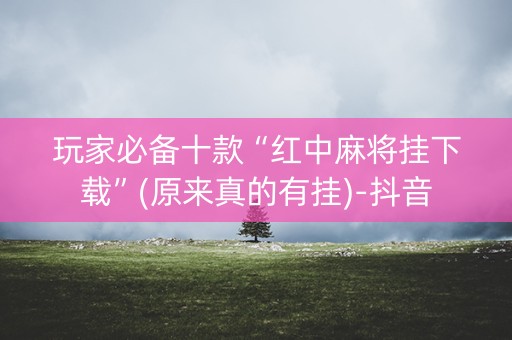 玩家必备十款“红中麻将挂下载”(原来真的有挂)-抖音