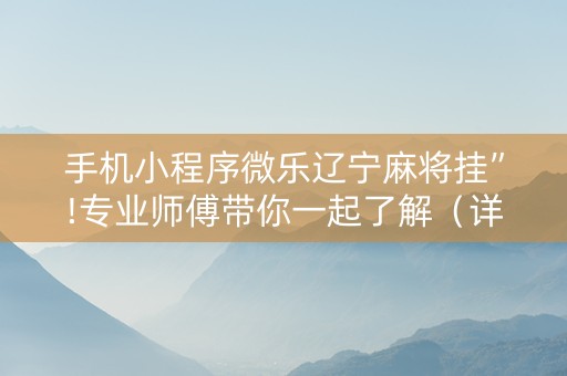 手机小程序微乐辽宁麻将挂”!专业师傅带你一起了解（详细教程）-抖音