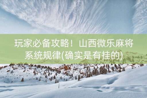 玩家必备攻略！山西微乐麻将系统规律(确实是有挂的)