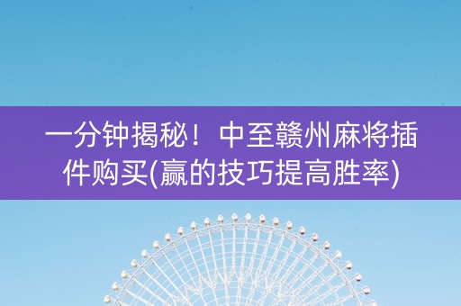 一分钟揭秘！中至赣州麻将插件购买(赢的技巧提高胜率)