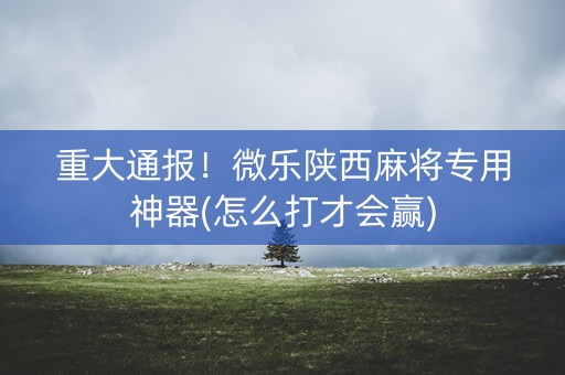 重大通报！微乐陕西麻将专用神器(怎么打才会赢)