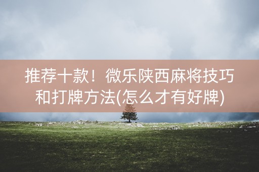 推荐十款！微乐陕西麻将技巧和打牌方法(怎么才有好牌)