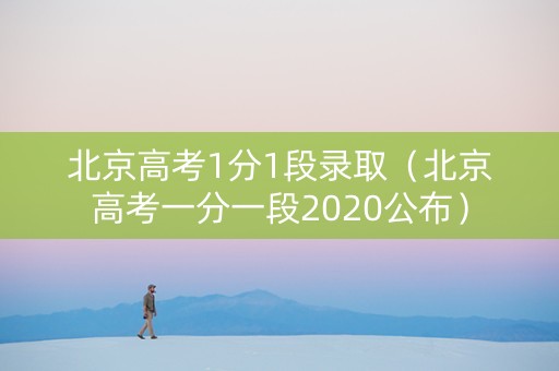 北京高考1分1段录取（北京高考一分一段2020公布）