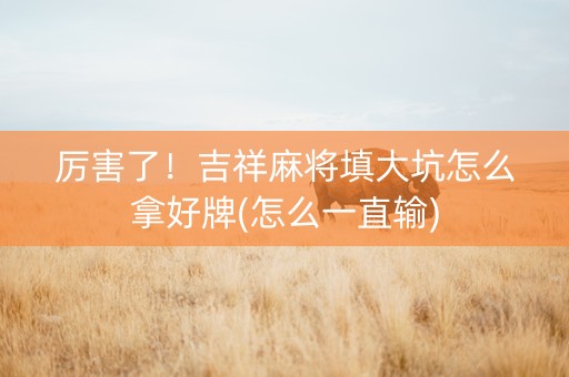 厉害了！吉祥麻将填大坑怎么拿好牌(怎么一直输)