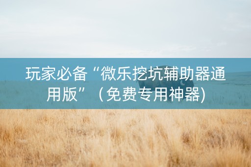 玩家必备“微乐挖坑辅助器通用版”（免费专用神器)