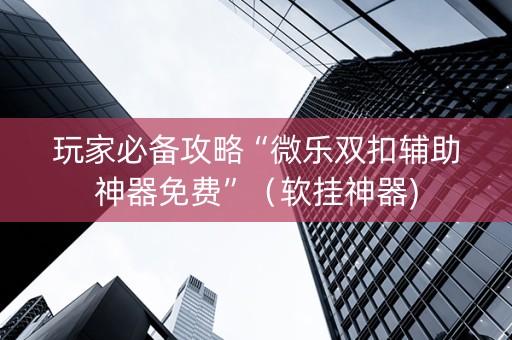 玩家必备攻略“微乐双扣辅助神器免费”（软挂神器)